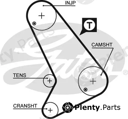 Gates 5571XS — Timing Belt PowerGrip®