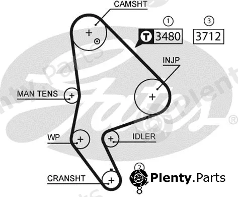 Gates 5590XS — Timing Belt PowerGrip®