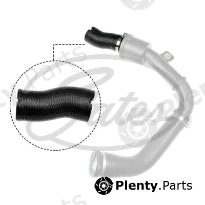 Gates 09-1343 — Charge Air Hose