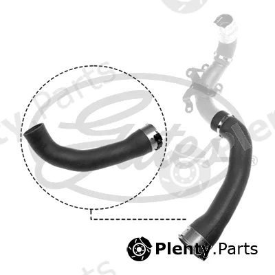 Gates 09-1034 — Charge Air Hose