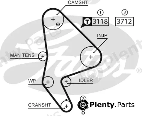 Gates 5558XS — Timing Belt PowerGrip®