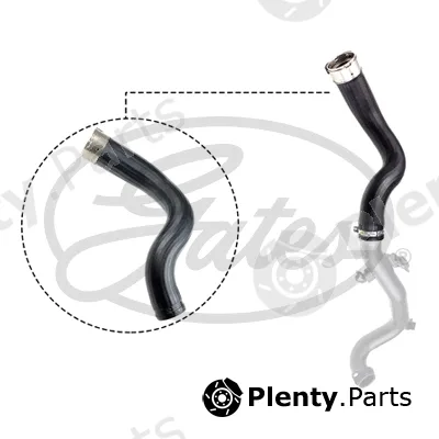 Gates 09-0501 — Charge Air Hose