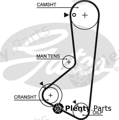 Gates 5372XS — Timing Belt PowerGrip®