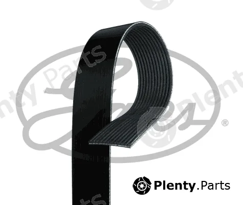 Gates 12PK1580HD — V-Ribbed Belt FleetRunner™ Micro-V®