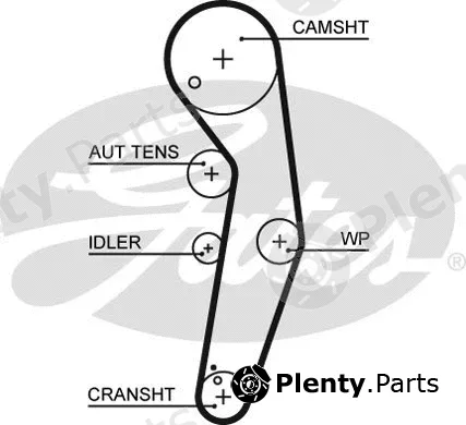 Gates 5569XS — Timing Belt PowerGrip®