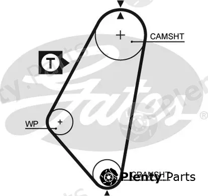 Gates 5083 — Timing Belt PowerGrip®