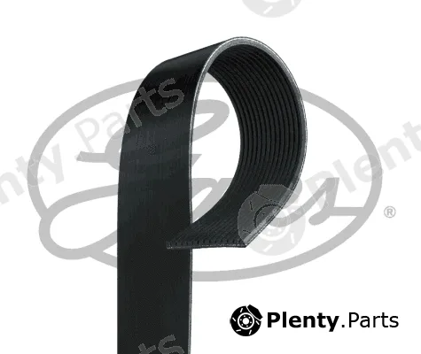 Gates 14PK1590HD — V-Ribbed Belt FleetRunner™ Micro-V®