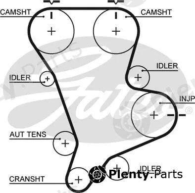 Gates 5583XS — Timing Belt PowerGrip®
