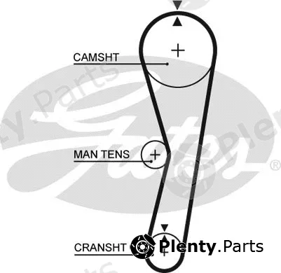 Gates 5024 — Timing Belt PowerGrip®