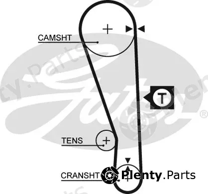 Gates 5036 — Timing Belt PowerGrip®