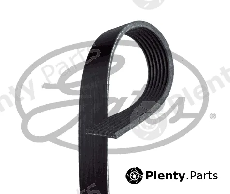 Gates 7PK1953 — V-Ribbed Belt Micro-V®