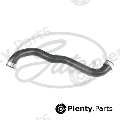 Gates 3954 — Radiator Hose