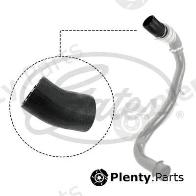 Gates 09-0491 — Charge Air Hose