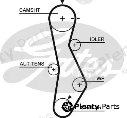 Gates 5579XS — Timing Belt PowerGrip®