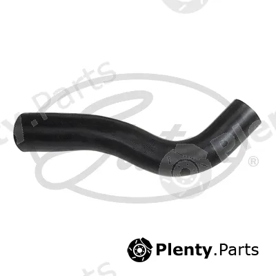 Gates 3113 — Radiator Hose