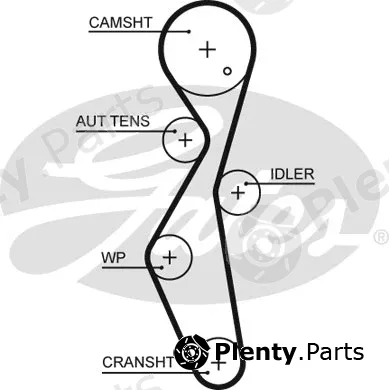 Gates 5672XS — Timing Belt PowerGrip®