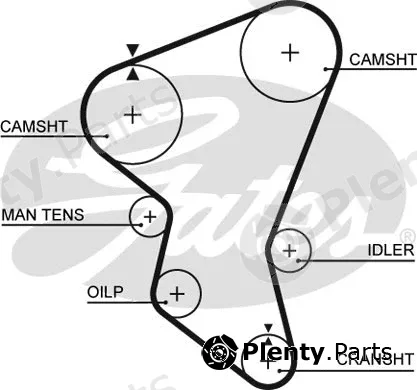 Gates 5171XS — Timing Belt PowerGrip®