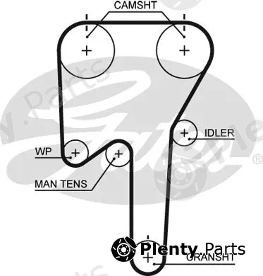 Gates 5553XS — Timing Belt PowerGrip®