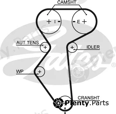 Gates 5419XS — Timing Belt PowerGrip®
