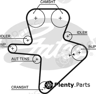 Gates 5586XS — Timing Belt PowerGrip®