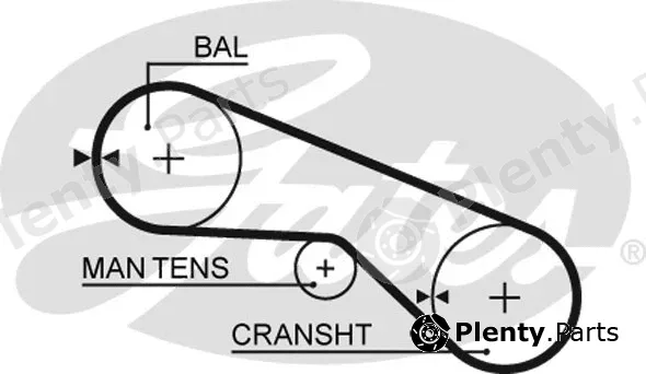 Gates 5025 — Timing Belt PowerGrip®