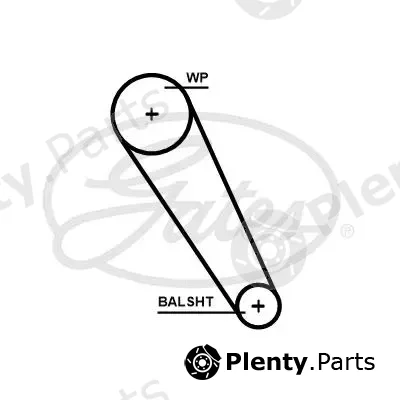 Gates 5698XS — Timing Belt PowerGrip®