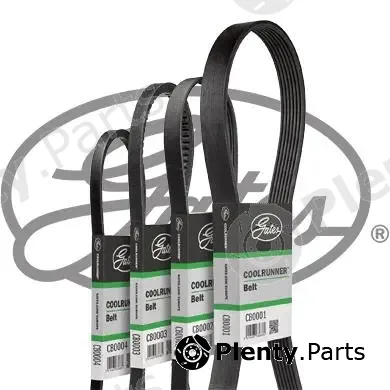 Gates CB0011 — V-Ribbed Belt Coolrunner™