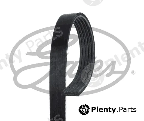 Gates 5PK1215 — V-Ribbed Belt Micro-V®