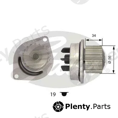 Gates WP0038 — Water Pump, engine cooling