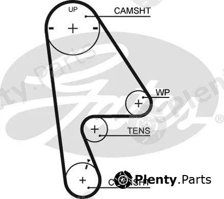 Gates 5409XS — Timing Belt PowerGrip®