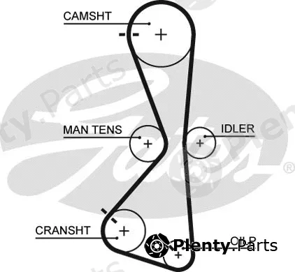 Gates 5609XS — Timing Belt PowerGrip®