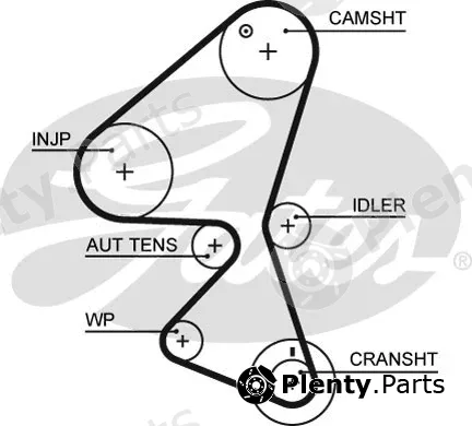Gates 5598XS — Timing Belt PowerGrip®