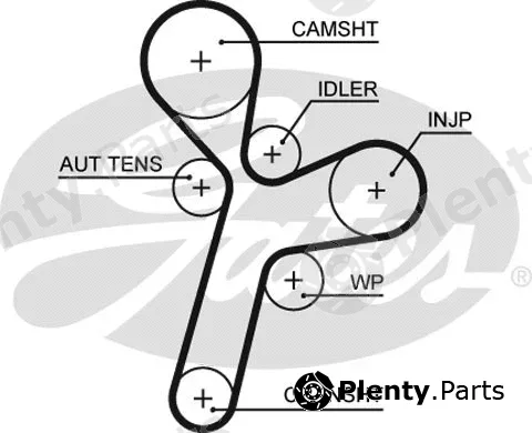 Gates 5634XS — Timing Belt PowerGrip®