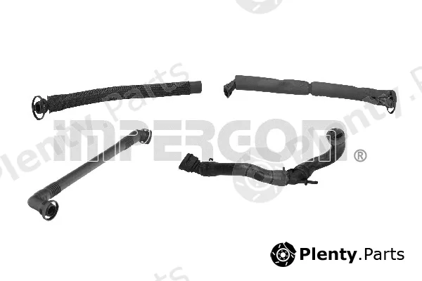 Original Imperium 225935 — Repair Kit, crankcase ventilation