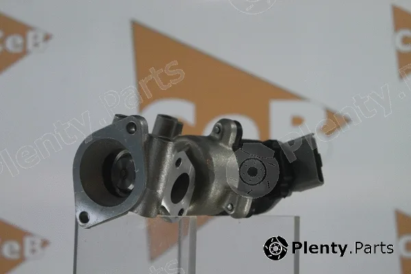 Da Silva GR6073 — EGR Valve CEB