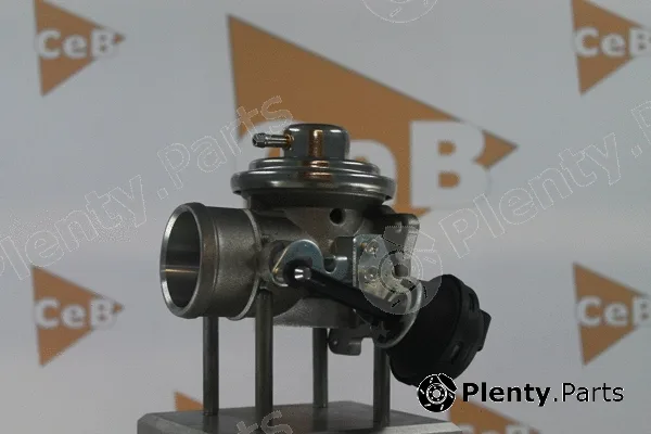 Da Silva GR6041 — EGR Valve CEB