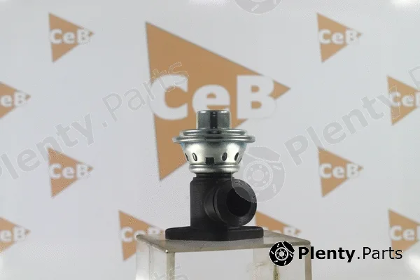 Da Silva GR6179 — EGR Valve CEB