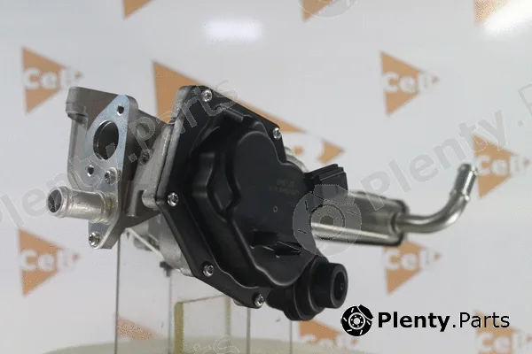 Da Silva GR6139 — EGR Valve CEB
