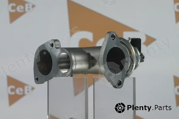 Da Silva GR6118 — EGR Valve CEB