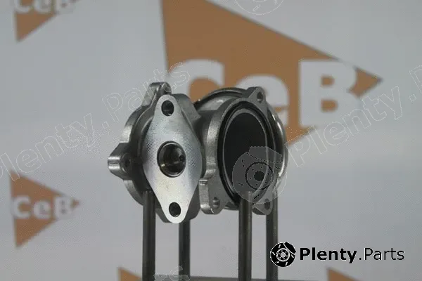 Da Silva GR6063 — EGR Valve CEB