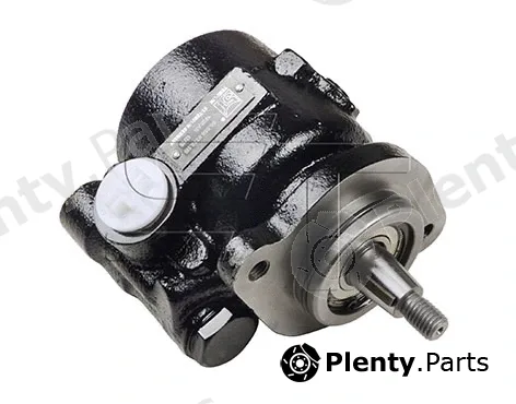 St-Templin 05.050.0278.110 — Hydraulic Pump, steering