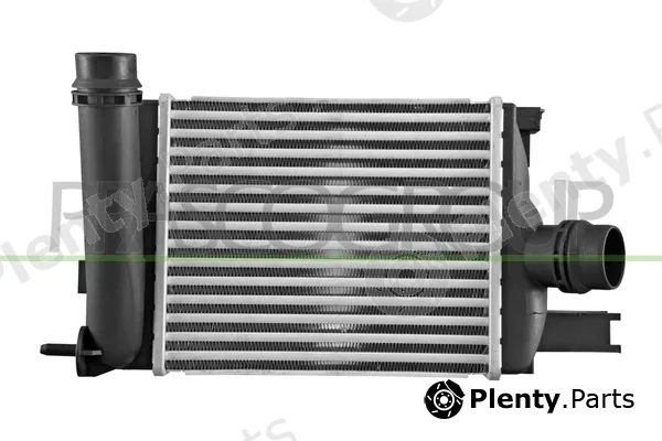 Prasco RN329N001 — Charge Air Cooler