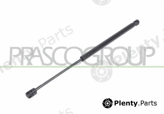 Prasco CI3209055 — Gas Spring, boot/cargo area