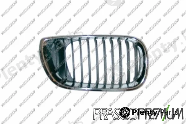 Prasco BM0202003 — Radiator Grille Premium