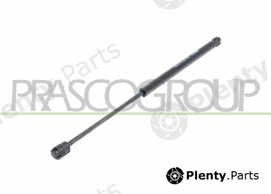 Prasco AA3409055 — Gas Spring, boot/cargo area