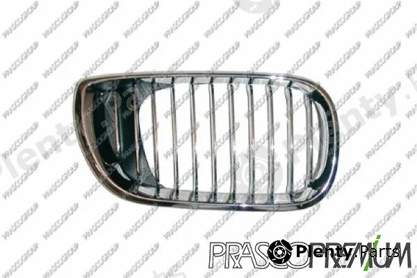 Prasco BM0202013 — Radiator Grille Premium