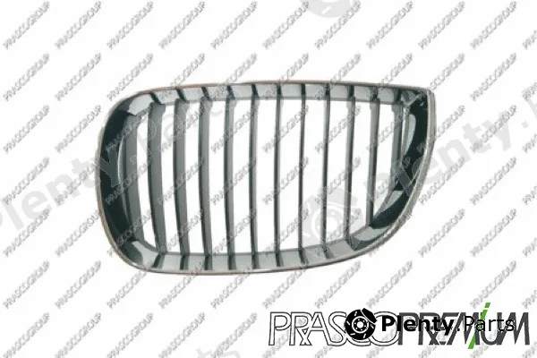 Prasco BM1202004 — Radiator Grille Premium