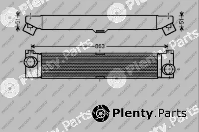 Prasco CI954N001 — Charge Air Cooler PrascoSelection