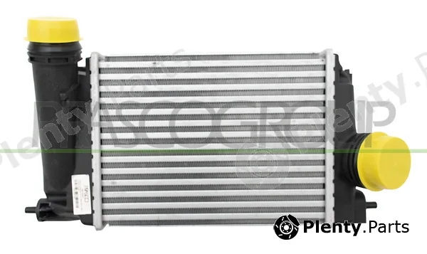 Prasco DS712N001 — Charge Air Cooler