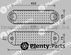 Prasco VL3074 — Oil Cooler, engine oil